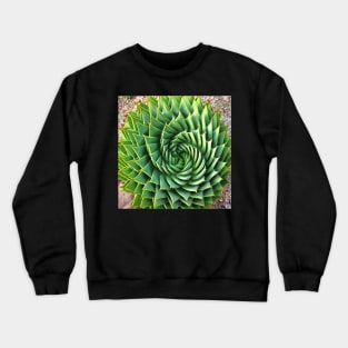 Stocksom Patrick Green Crewneck Sweatshirt